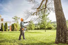 Best Tree Mulching  in Prospect, OH